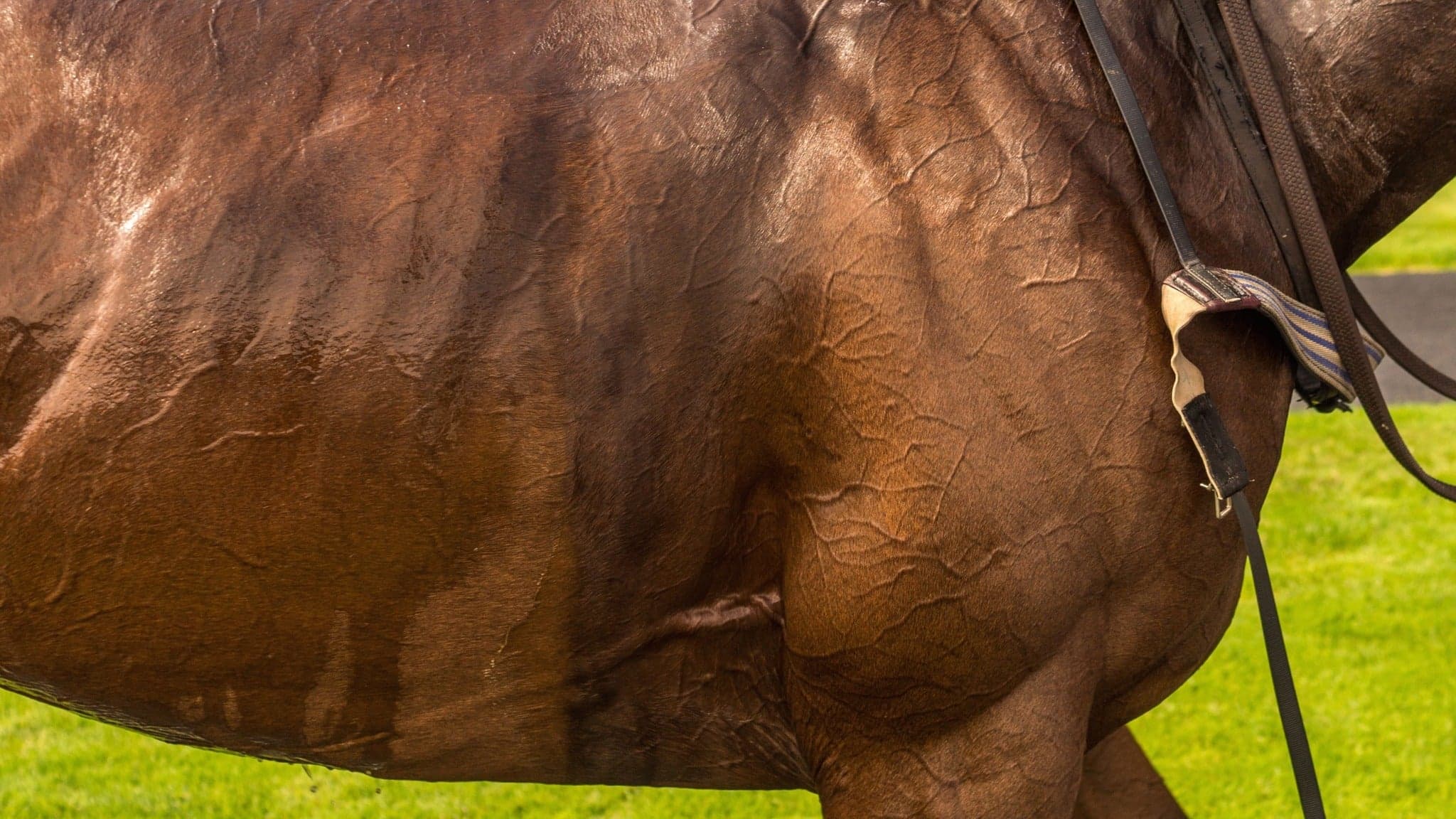 Keeneland Spring Race Meet