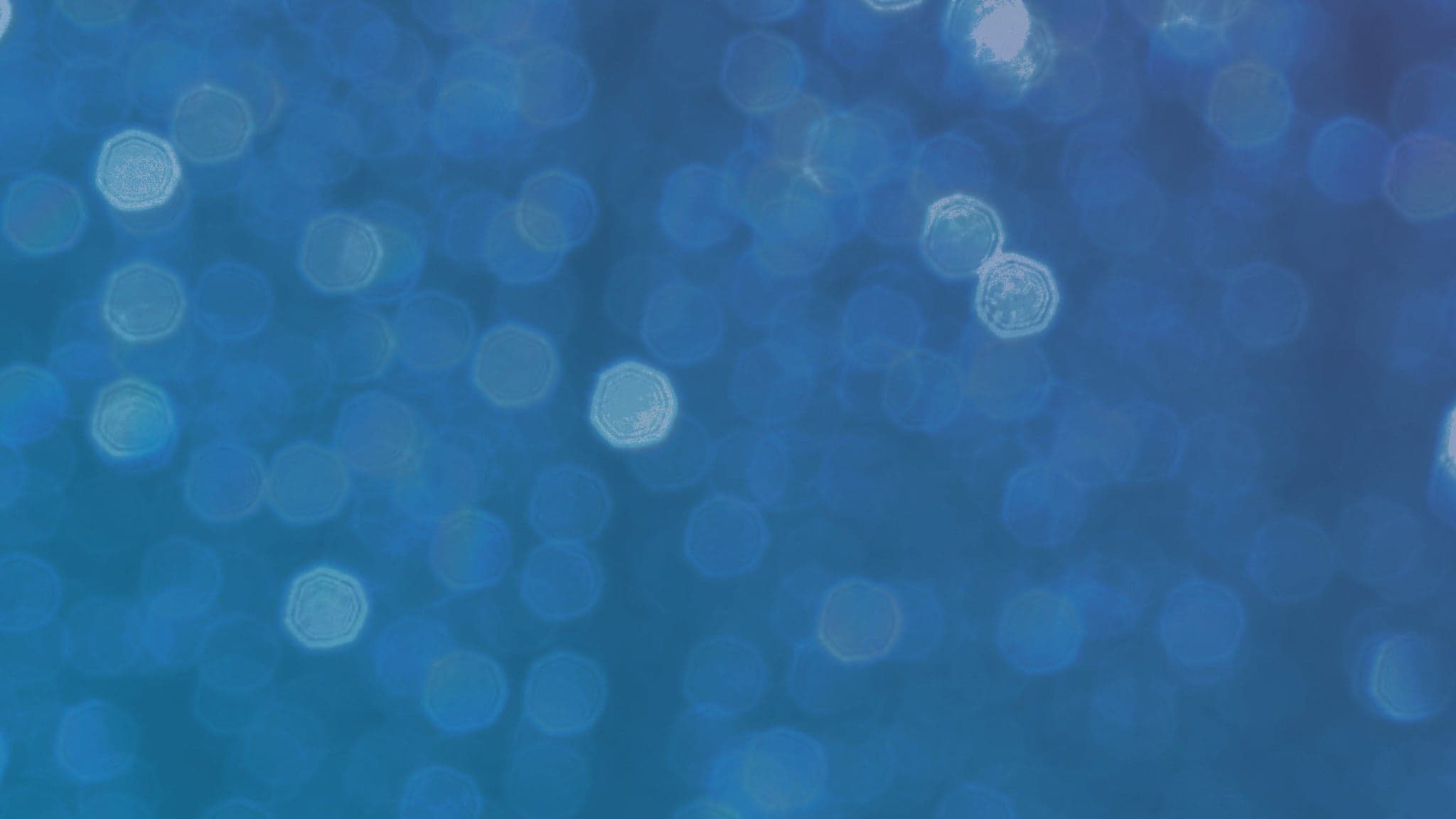 STEREOPHONIC Boxes 3/22 at 6:30pm